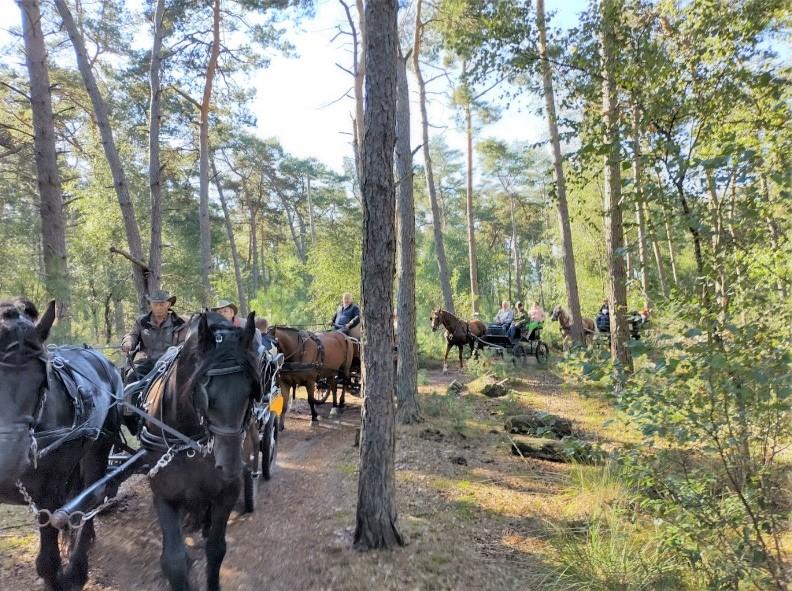 Koetsjesdag mekanders